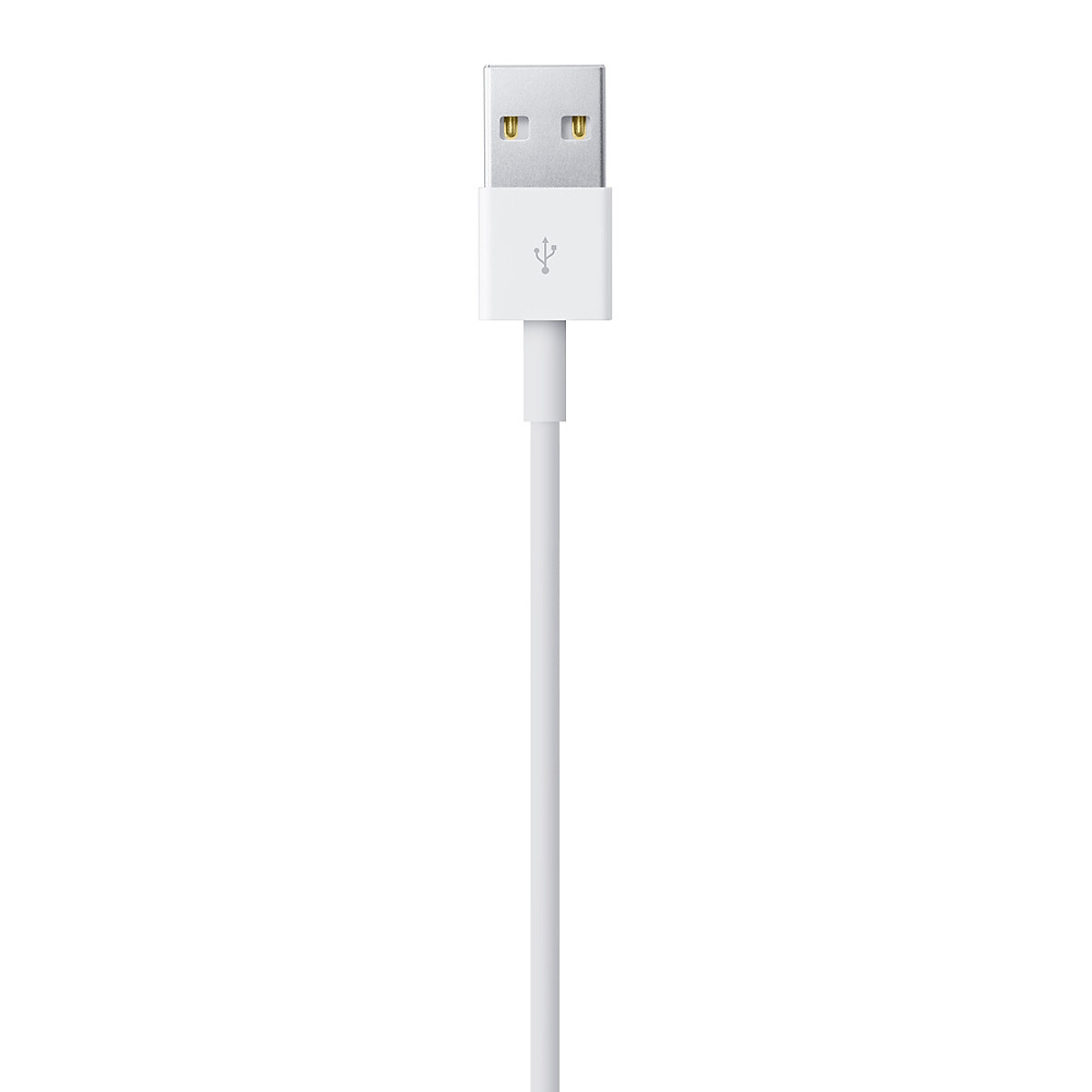 Apple Lightning to USB Cable ( m) – Synnex FPT